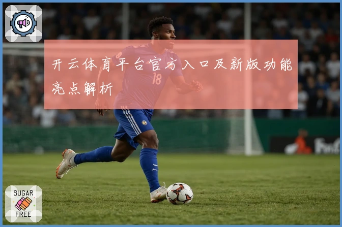 开云体育平台官方入口及新版功能亮点解析